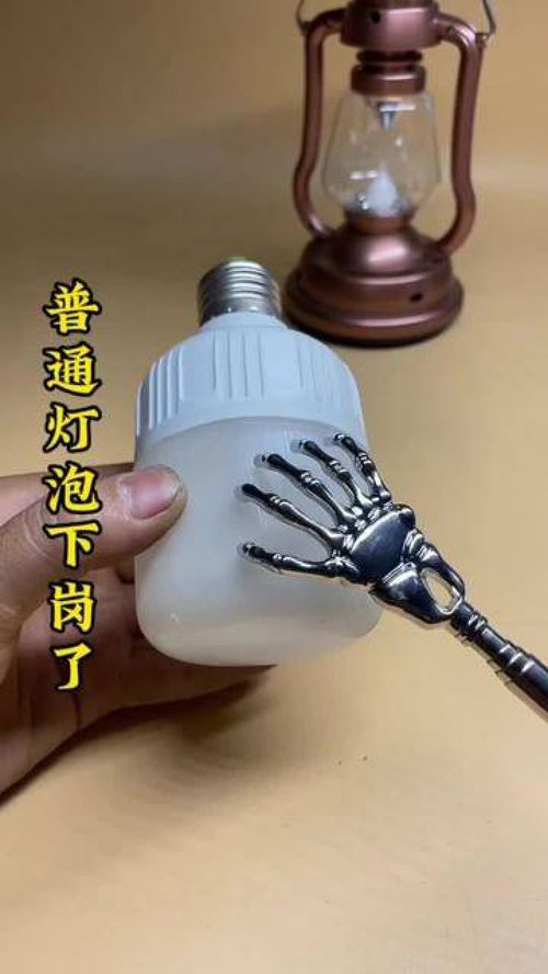 給愛寵與生活加點料 這些實用好物，獸醫(yī)也在用！